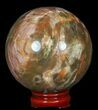 Colorful Petrified Wood Sphere #49741-1